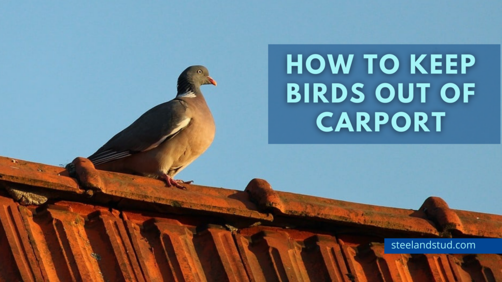 How to keep birds out of carport - Steel & Stud