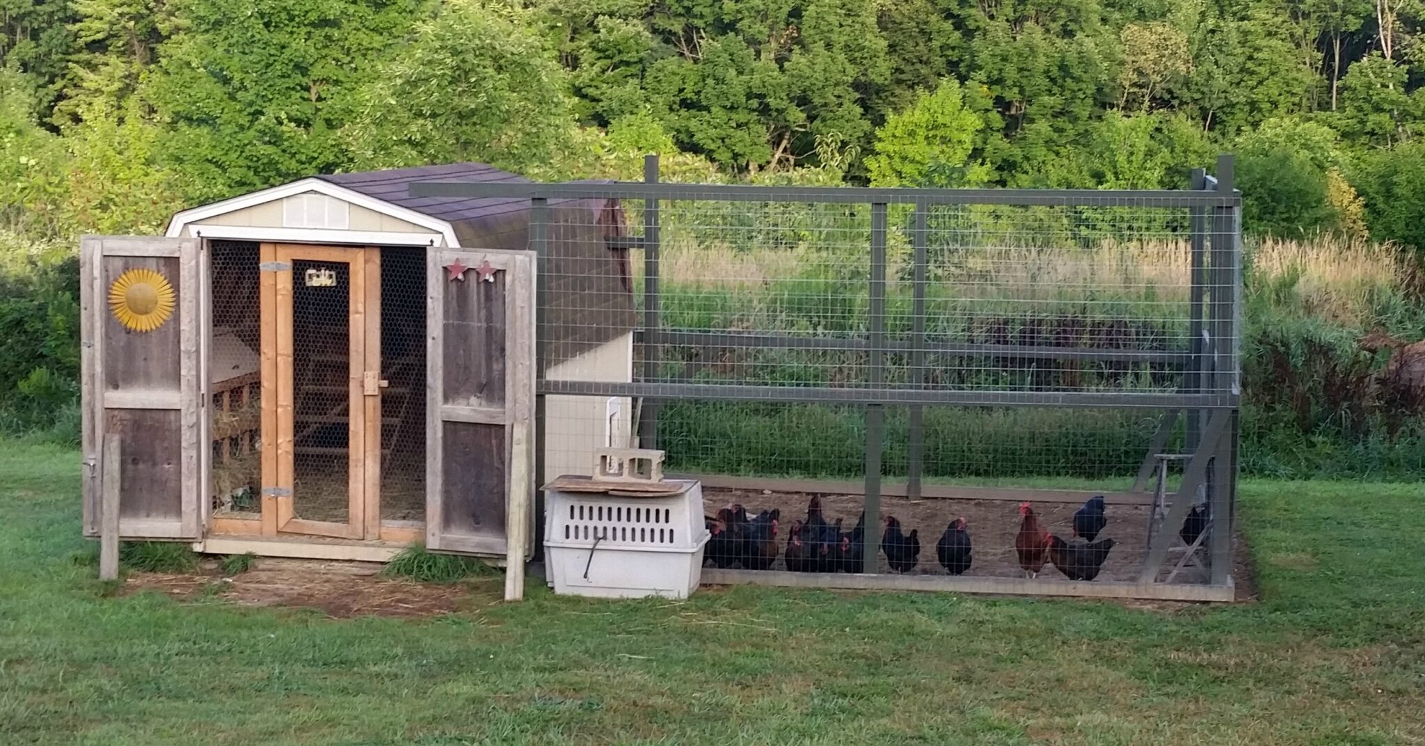 Carport Chicken Coop How to Make a Chicken Coop Out of a Carport