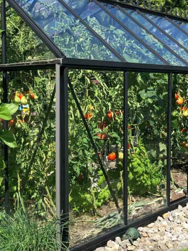 How You Can Make a Greenhouse Carport