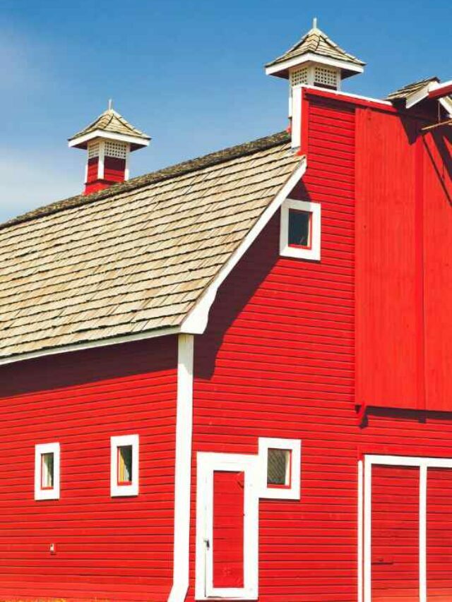 A Complete Guide on Metal Barn Siding